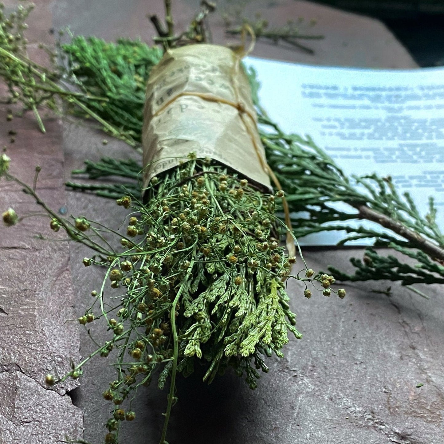 CEDAR SMOKE CLEANSING STICK MADE WITH SWEET ANNIE. TIED TOGETHER WITH ORGANIC THREAD AND BROWN PAPER LABEL.
