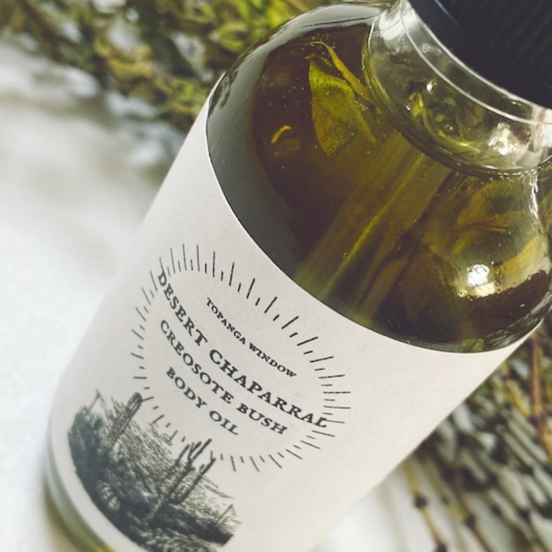 CREOSOTE DESERT RAIN SCENT BODY OIL IN GLASS JAR 1 OUNCE CREOSOTE LEAVES INSIDE JAR