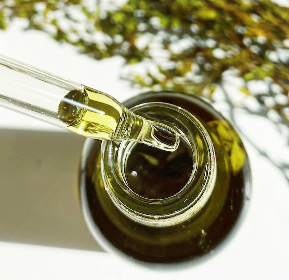 CREOSOTE BODY OIL