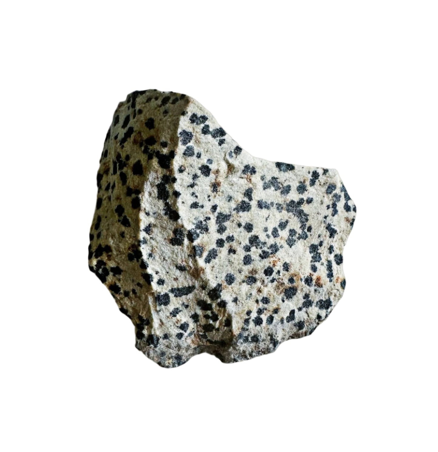 Dalmatian Jasper Stone