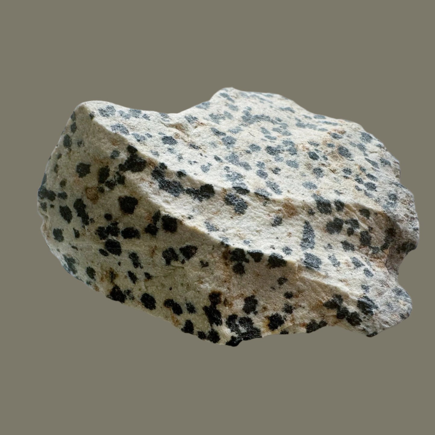 Dalmatian Jasper Stone