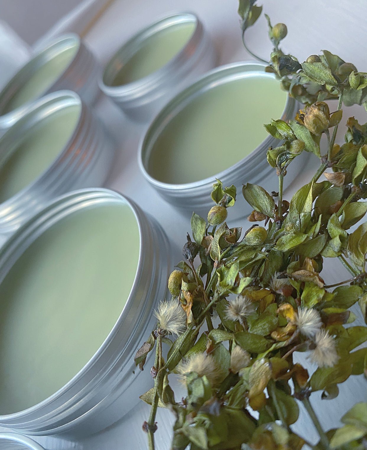CREOSOTE SALVE