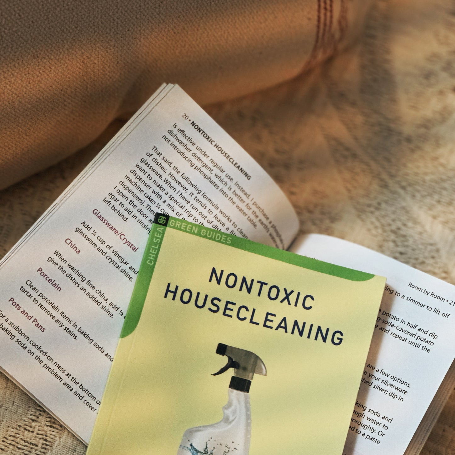 NON TOXIC HOUSE CLEANING BOOK