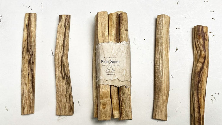 PALO SANTO