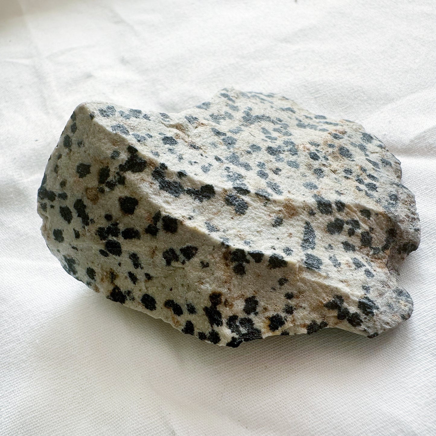 Dalmatian Jasper Stone