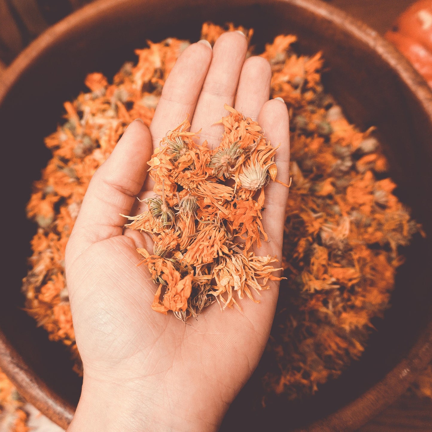 CALENDULA Organic Body Oil