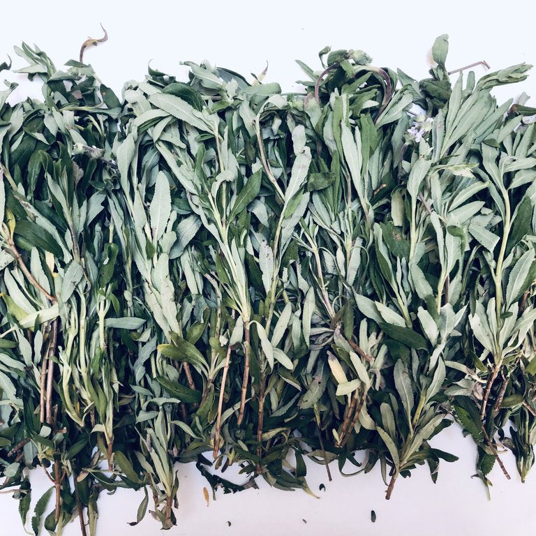 Stack of dried black sage leaves on a white background