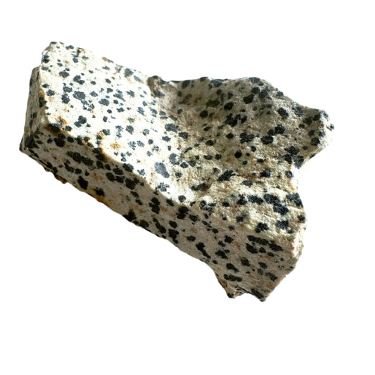 Dalmatian Jasper Stone