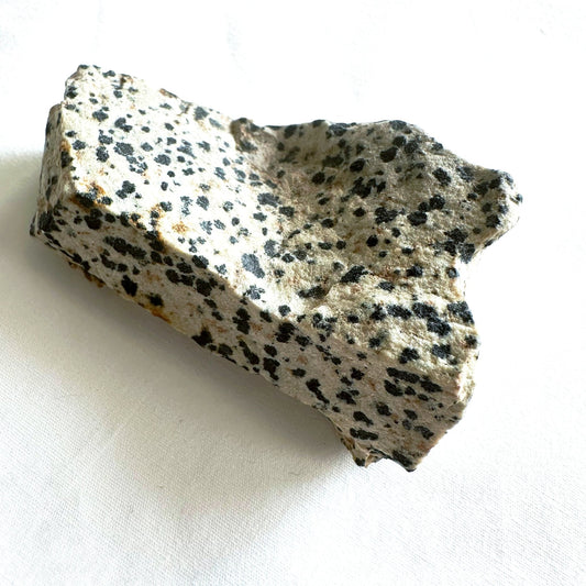 Dalmatian Jasper Stone