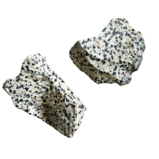 Dalmatian Jasper Stone