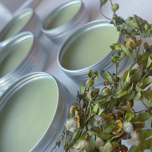 Several metal tins containing green-colored salve, with a small metal lid, displayed next to dried plants.