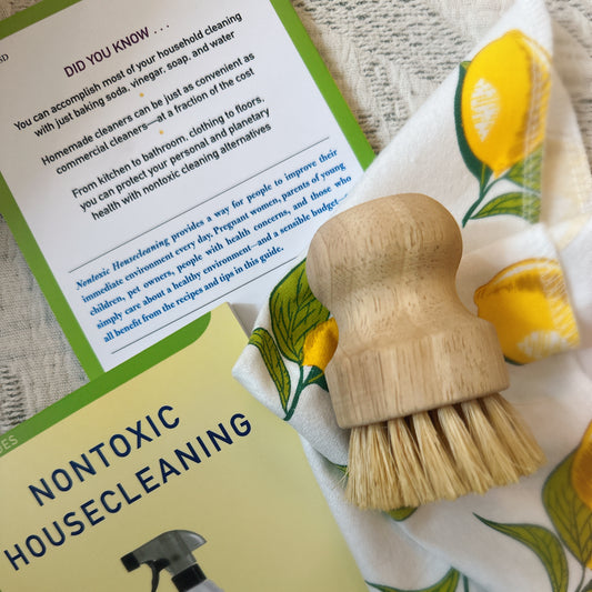 NON TOXIC HOUSE CLEANING BOOK