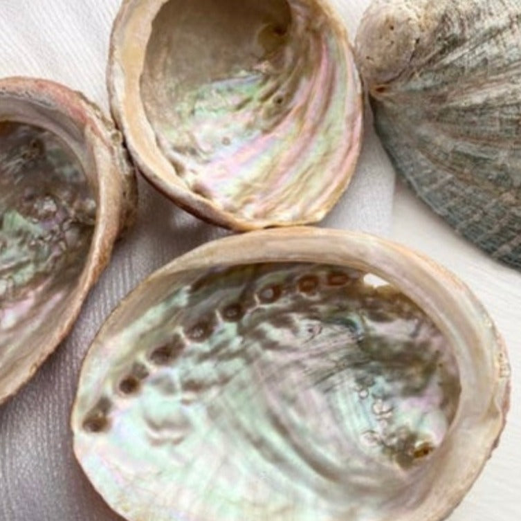 4 " abalone shells to use with sage , for smudging or use to burn incense.  Polished natural color , creamy swirls with  soft pink,green and blue swirls.